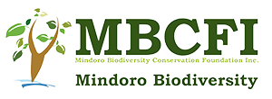 MBCFI